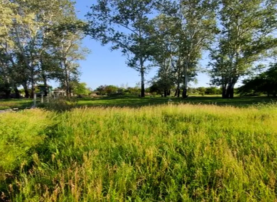 Земельна ділянка